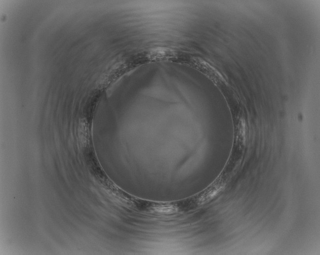 X0000076080659200610061617