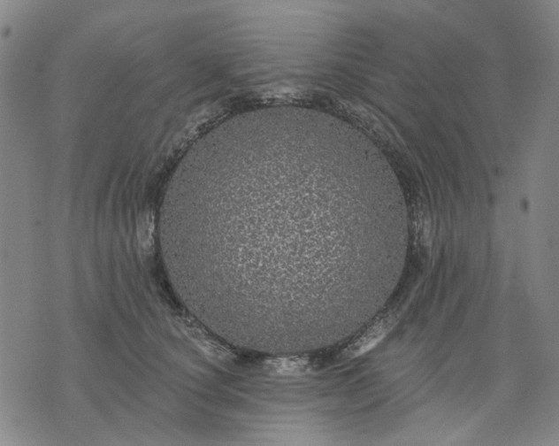 X0000076080660200610061617