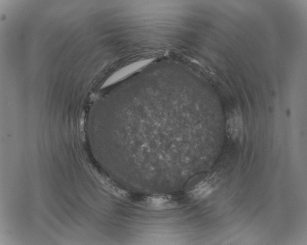 X0000076080662200610061617