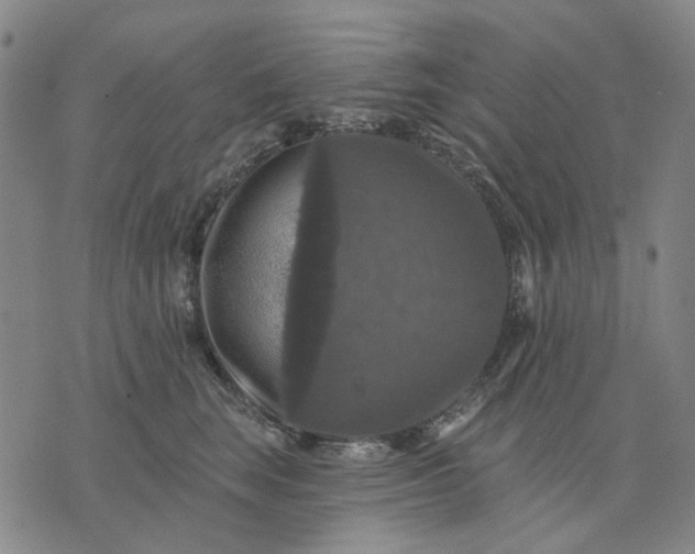 X0000076080663200610061617