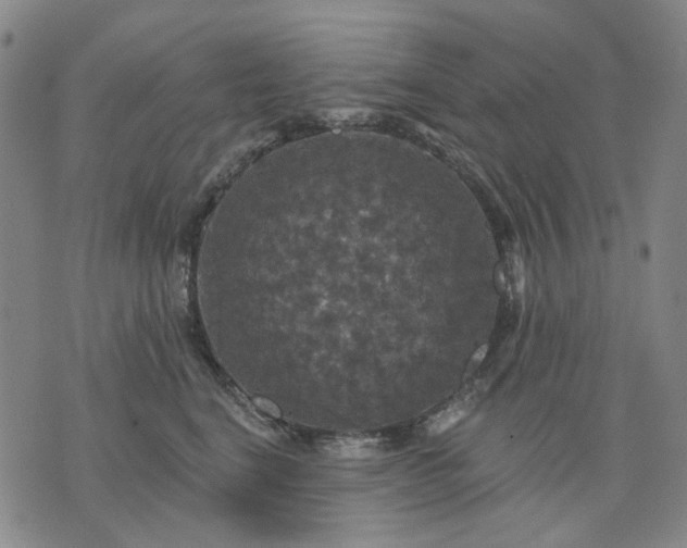 X0000076080664200610061617