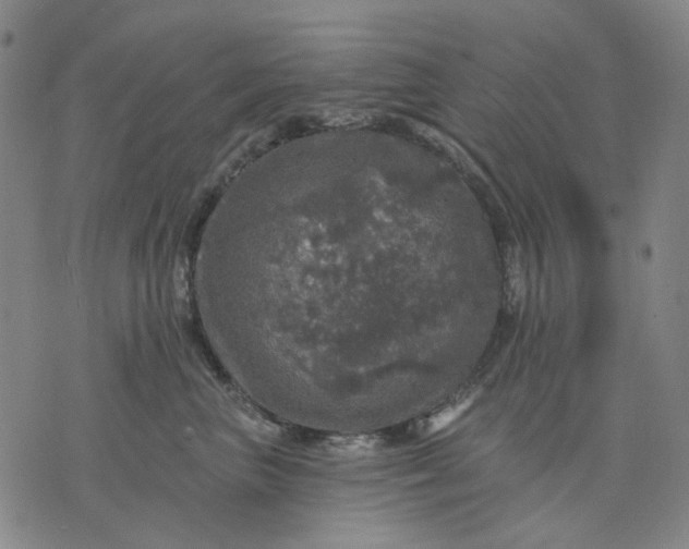 X0000076080667200610061617