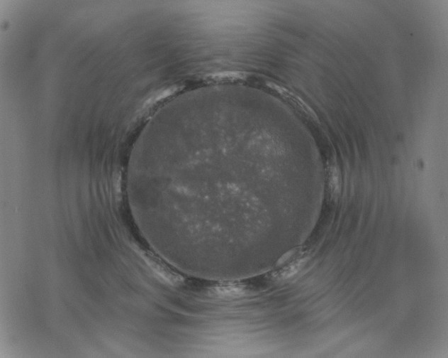 X0000076080668200610061617