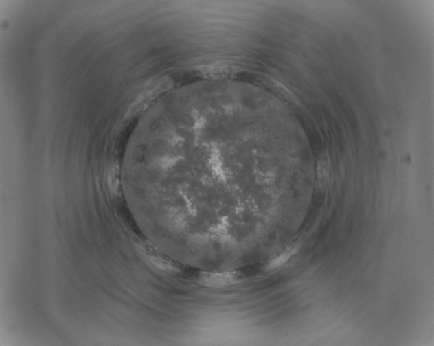 X0000076080671200610061617