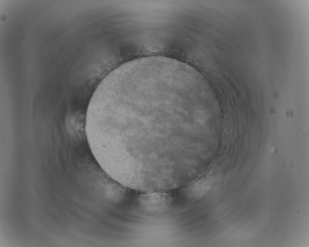 X0000076080672200610061617