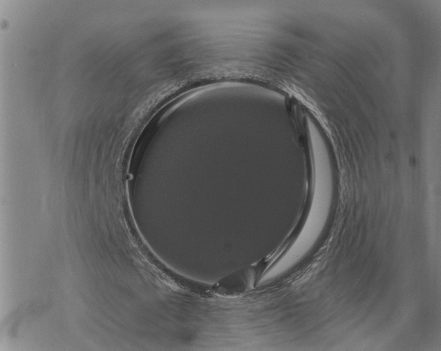 X0000076080673200610061617