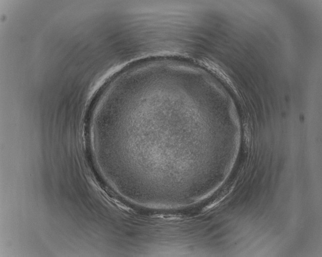 X0000076080676200610061617