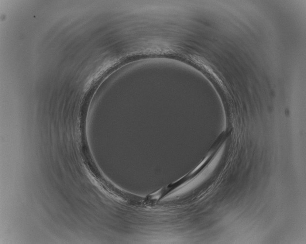 X0000076080677200610061617