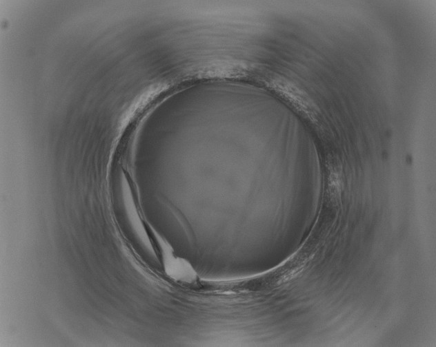 X0000076080678200610061617