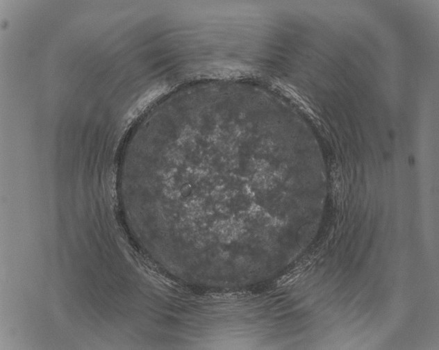 X0000076080679200610061616