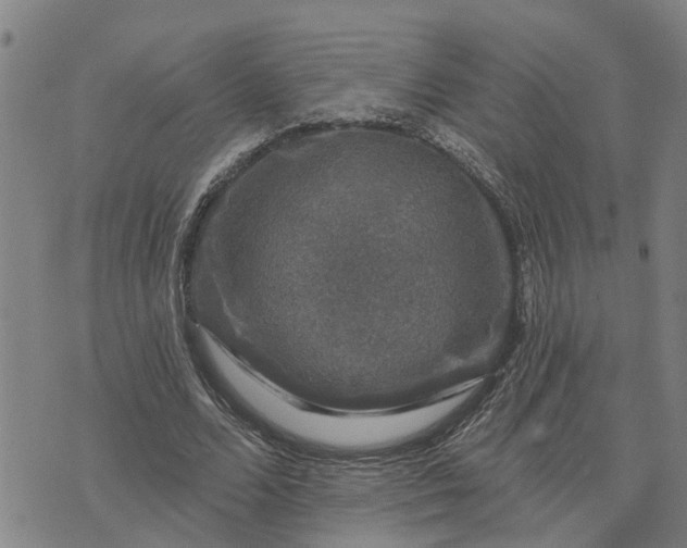 X0000076080680200610061616