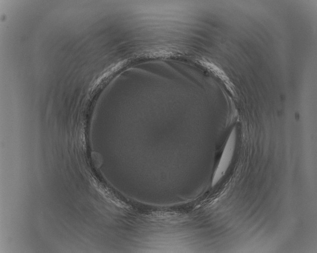 X0000076080681200610061616