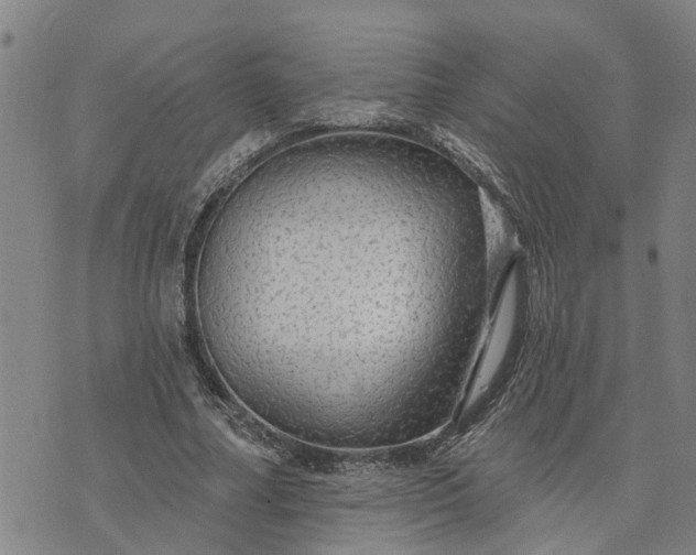 X0000076080682200610061616