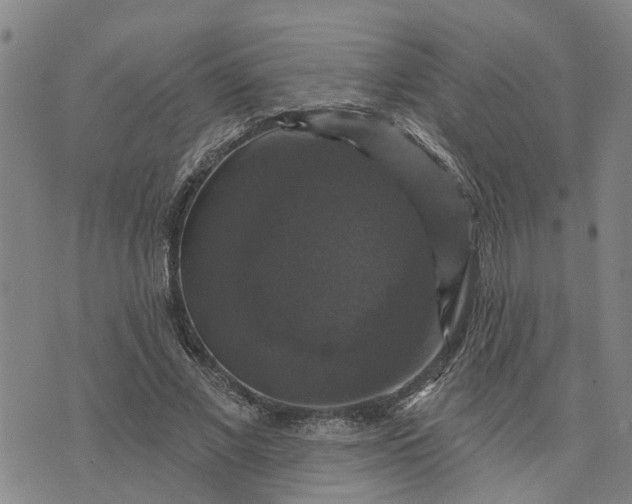 X0000076080685200610061616