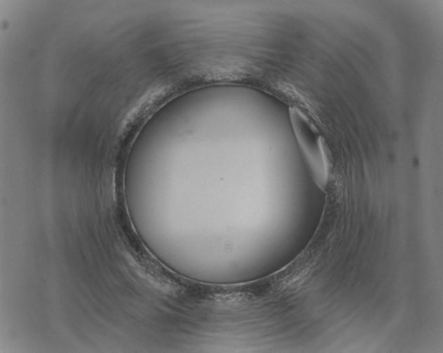 X0000076080686200610061616