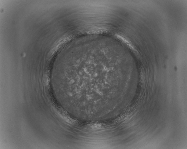 X0000076080687200610061616