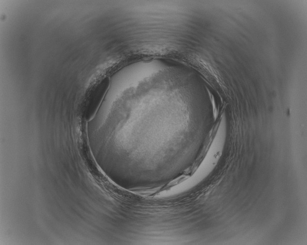 X0000076080688200610061616