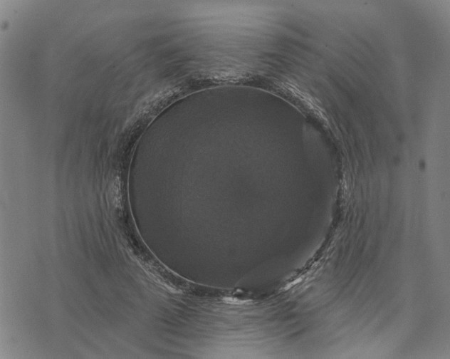 X0000076080689200610061616