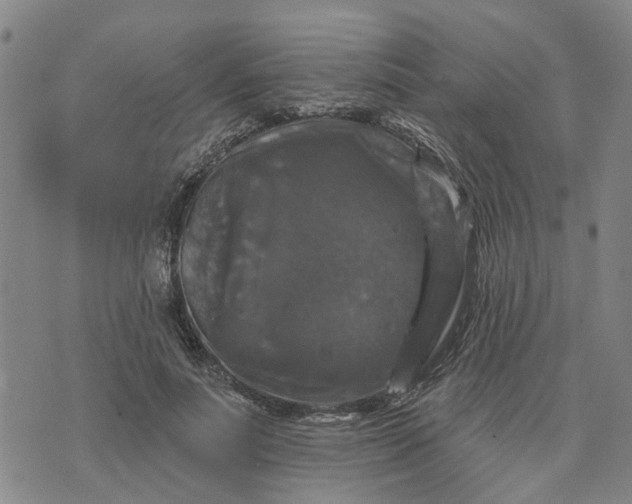 X0000076080691200610061616