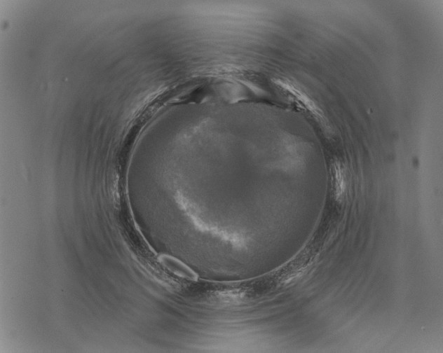 X0000076080692200610061616