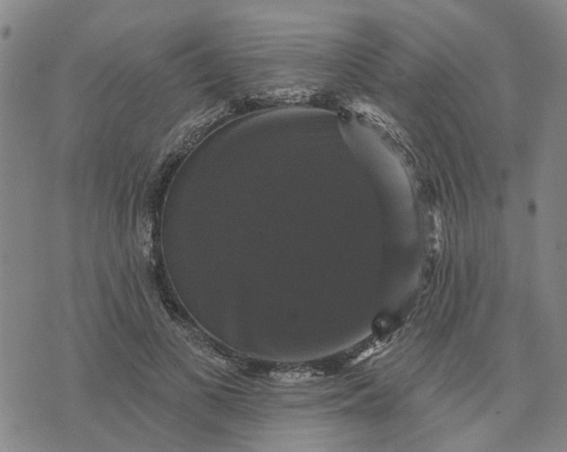 X0000076080693200610061616