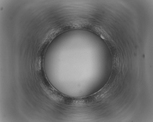 X0000076080694200610061616