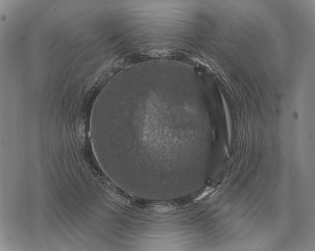 X0000076080697200610061616