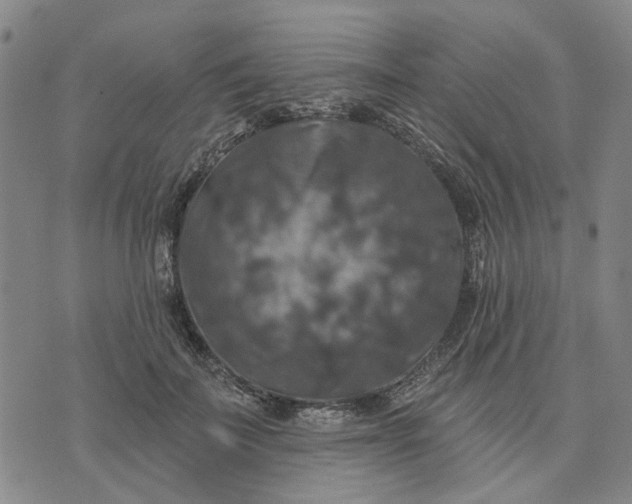 X0000076080699200610061616