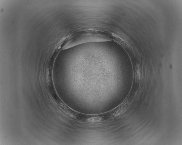 X0000076080700200610061616