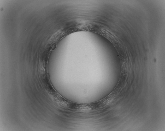 X0000076080702200610061616