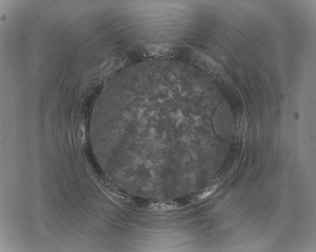 X0000076080703200610061616