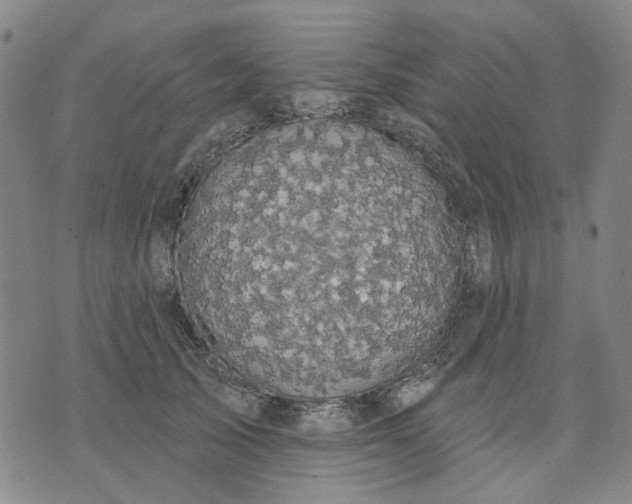 X0000076080705200610061616