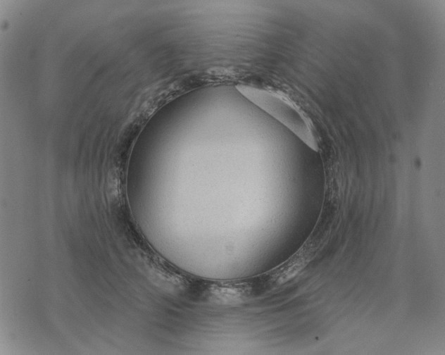 X0000076080706200610061616