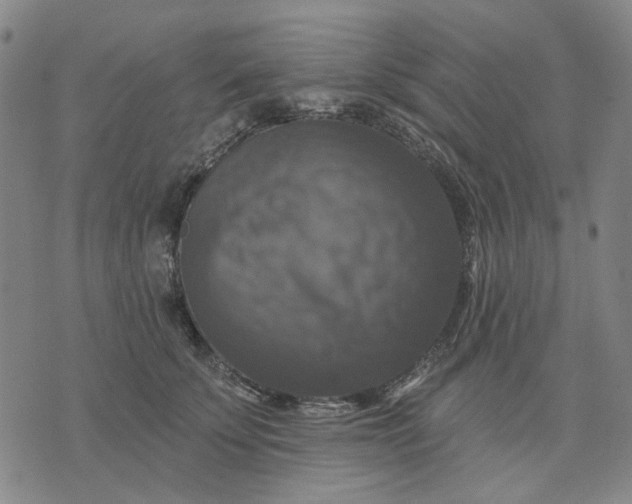 X0000076080707200610061616