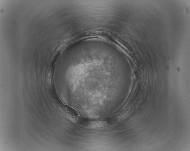 X0000076080708200610061616