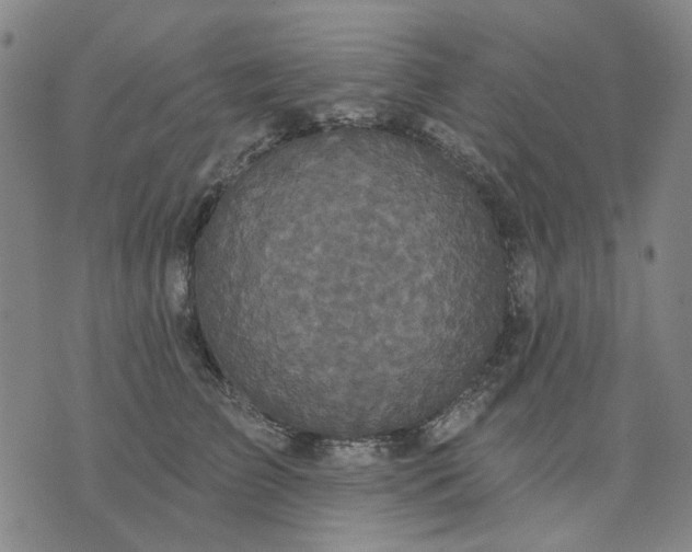 X0000076080709200610061616