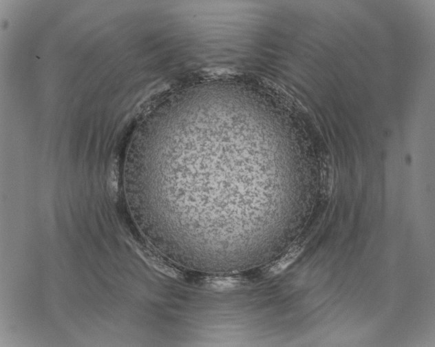 X0000076080710200610061616