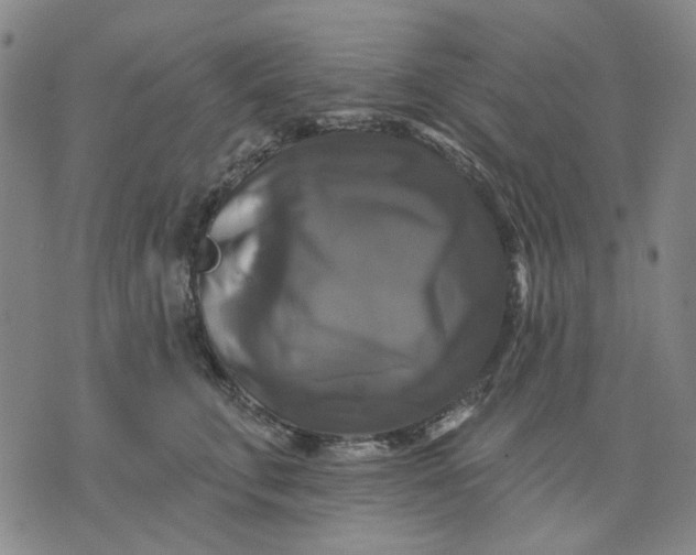 X0000076080711200610061616