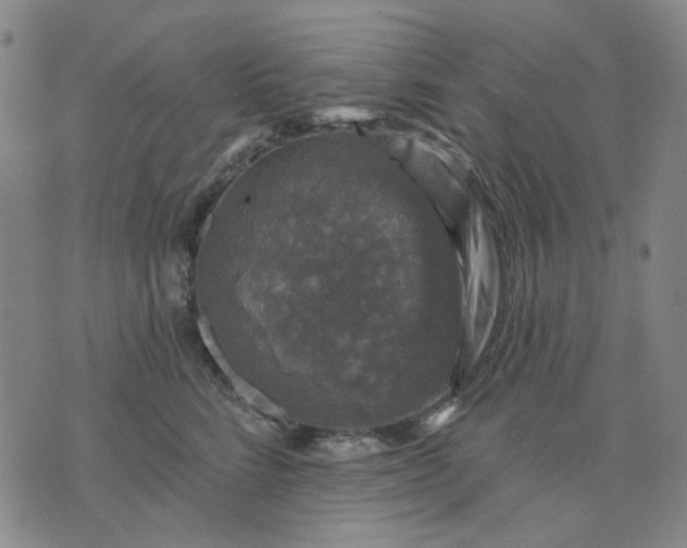 X0000076080712200610061616