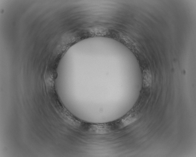 X0000076080713200610061616