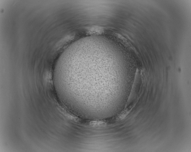 X0000076080714200610061616