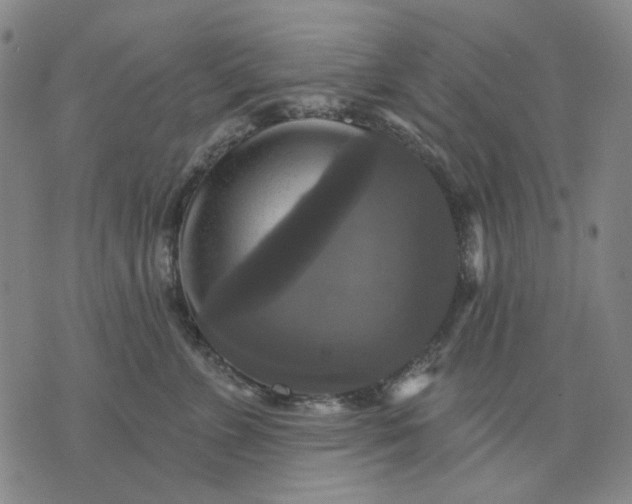 X0000076080715200610061616