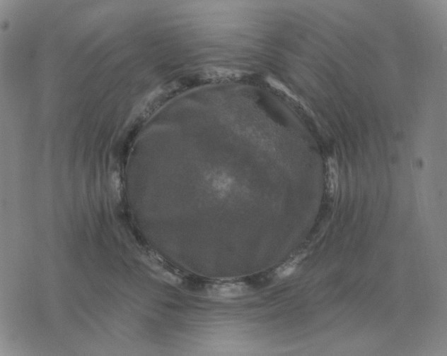 X0000076080716200610061616