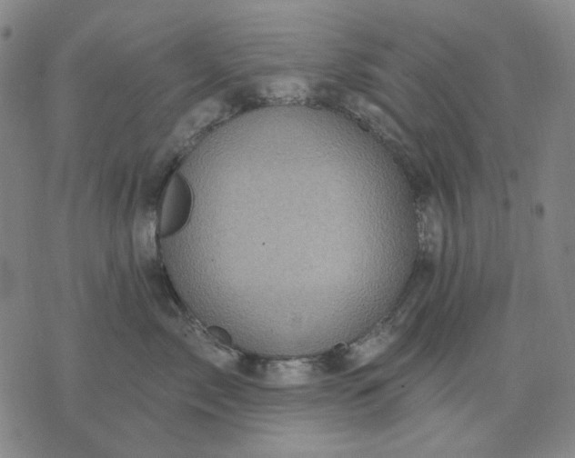 X0000076080717200610061616