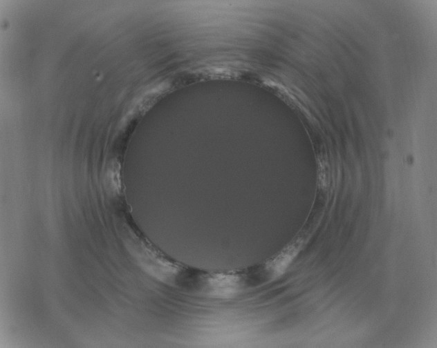 X0000076080718200610061616