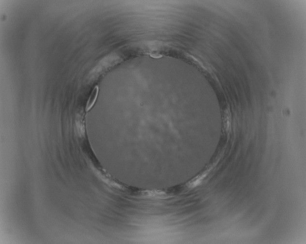 X0000076080719200610061616