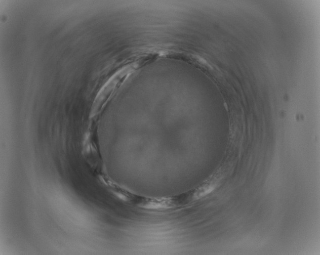 X0000076080720200610061616