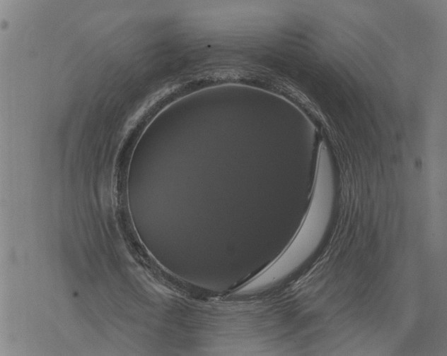 X0000076080722200610061615