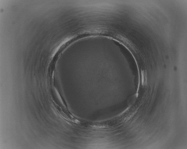 X0000076080723200610061615