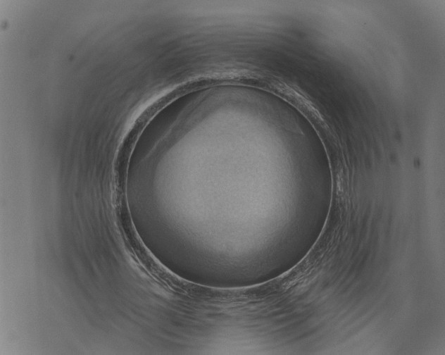 X0000076080724200610061615